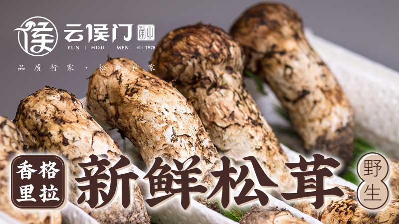 又是一年鬆茸季——上維雲南野生菌品牌形象案（àn）例